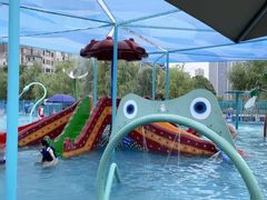 -海合安武汉极地海洋公园