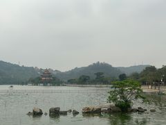 -顺峰山公园