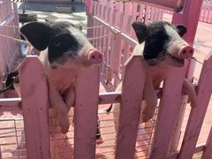 -渔岛海洋度假区