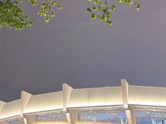 -上海体育场