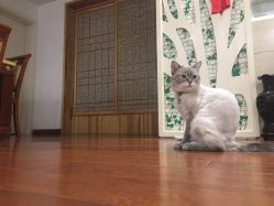 -YESIDO椰岛造型烫发染发