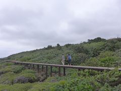-鹅銮鼻公园