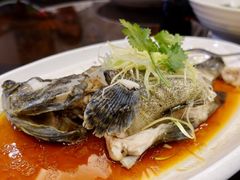 -大门水乡·顺德菜