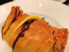 -甄御•海鲜新青岛菜(麦岛店)