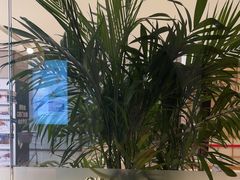 -LANN I 蘭·泰式古法按摩(高岛屋百货店)
