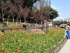 景点-望江楼公园