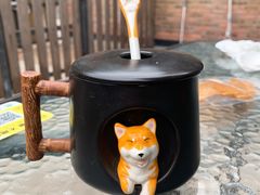 -柴犬高等学院·狗咖·柴犬售卖·宠物训练