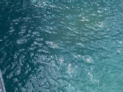-三亚西岛海洋文化旅游区