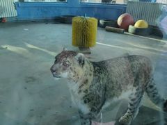 -青藏高原野生动物园