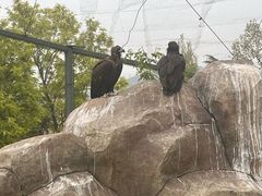 -石家庄市动物园