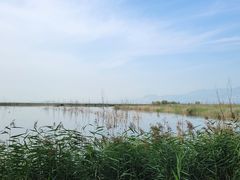 -野鸭湖国家湿地公园