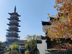 -秋霞圃