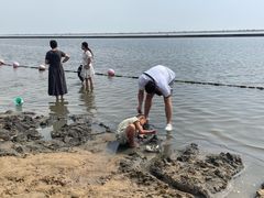-碧海金沙