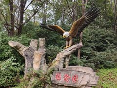 -哈尔滨北方森林动物园