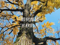 -留园