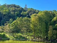 -深圳仙湖植物园