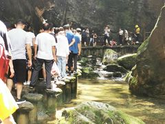 -牛背梁国家森林公园