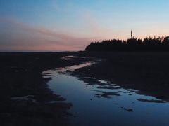-北海金海湾红树林生态旅游区