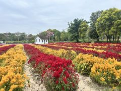 -广东花都香草世界旅游度假区