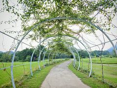 -水底山庄园温泉