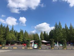 -东平国家森林公园