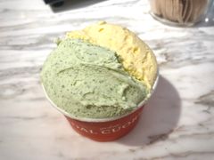 新鲜薄荷-Dal Cuore 达可芮冰淇淋(陕西北路店)