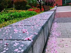 -山东外贸职业学院