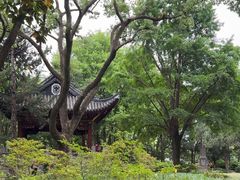 -汇龙潭
