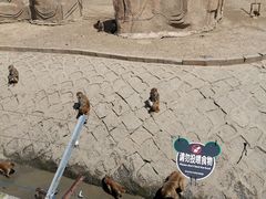 -哈尔滨北方森林动物园