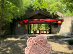 -大奇山国家森林公园