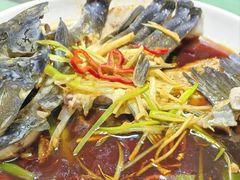 -煲来饱去冷水鱼