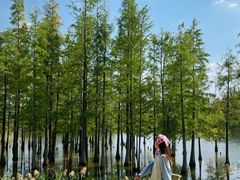 -白鹭湾湿地公园