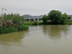 -长兴太湖图影湿地文化园