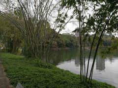-晓港公园