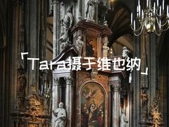 -斯蒂芬主教座堂(Stephansdom)
