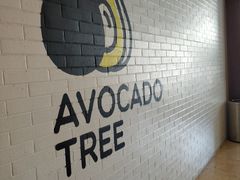 -油梨树 AVOCADO TREE(亮马桥店)