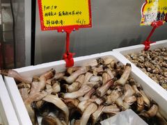 -蚝专家(北滘店)