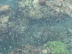 -三亚西岛海洋文化旅游区