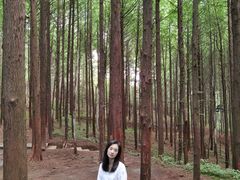 -山王坪喀斯特国家生态公园