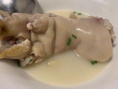 -中和裴氏蹄花(府河路店)