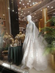 -金夫人婚纱摄影(华南店)