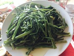 -珊瑚岛