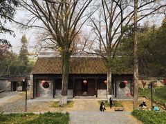 -镇江市南山风景名胜区竹林景区