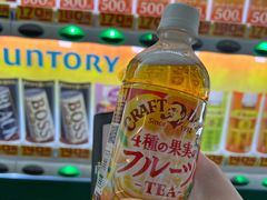 -轻井泽王子购物广场