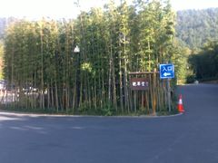 景色-苏州环秀晓筑养生度假村