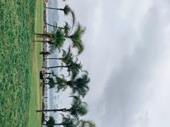 -阳宗海湿地