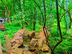 -帽儿山风景区