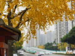 -沙河三洞古桥公园