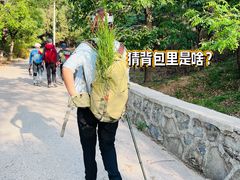 -北京鹫峰国家森林公园