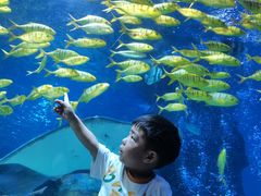 -太平洋海底世界